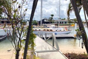 66df9ee1 0cb2 4279 b51f 67a50f21b9dc Buddina 2025 12 08 091609