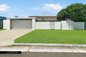 69506add c693 4c9a 8698 8dfb74bea6a0 Buddina 2026 01 14 101622