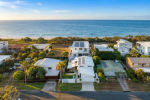 62abc81c dab7 44ff aec9 86e8e3a4eaa0 Buddina 2026 03 18 102122