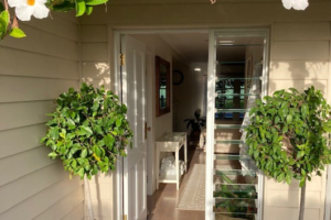 67b40cd7 8ed2 4319 8f9a 388a35992c9e Buddina 2026 04 24 091932