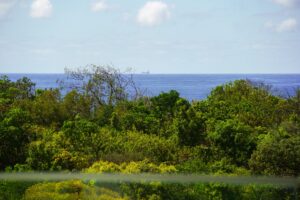 69439026 3d2e 4d4f 8f13 f836f35a3179 Bokarina 2026 04 14 143452