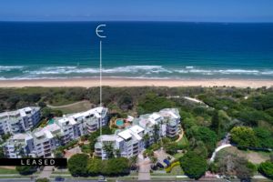 69c1c101 8bea 4493 afdb ef9265c6a388 Buddina 2026 04 29 155538