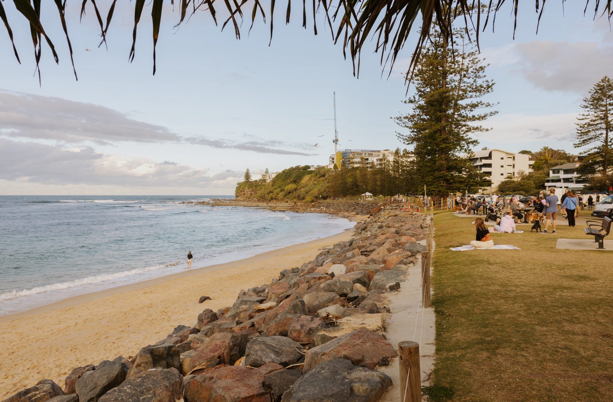 moffat beach seawall 2026